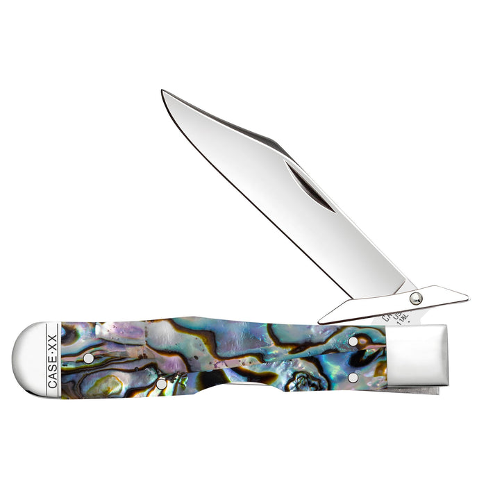 Case 12040 - Abalone Smooth Cheetah Cub (811 1/2L SS)