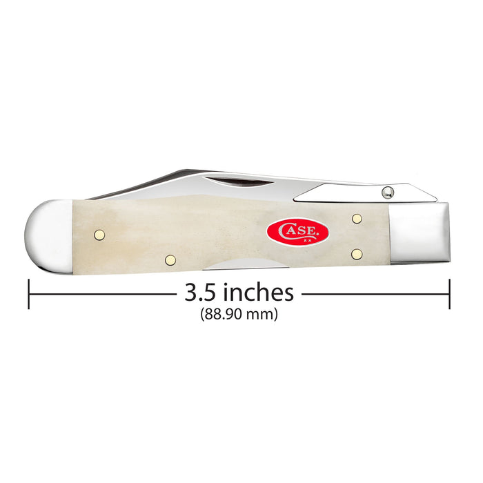 Case 14026 - Natural Bone Smooth Cheetah Cub (611 1/2L SS)