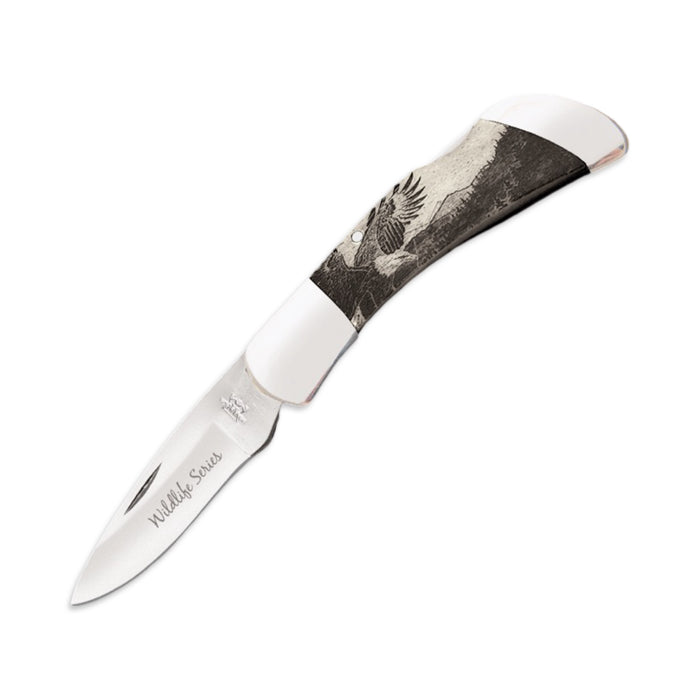 Bear & Son Wildlife Series 3 1/2″ White Smooth Bone Midsize Lockback Eagle