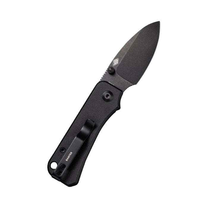 Civivi C19068S-2 - Baby Banter Black G10 Thumb Stud Knife