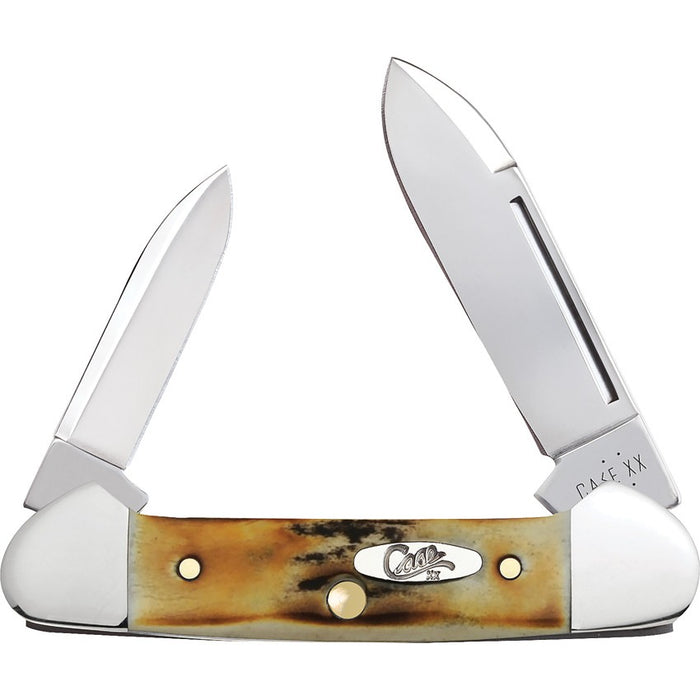 Case 05537 - Sambar Stag Baby Butterbean