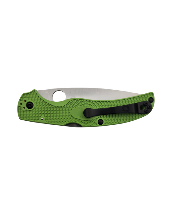 Spyderco C244SGR - Native Chief Salt Green
