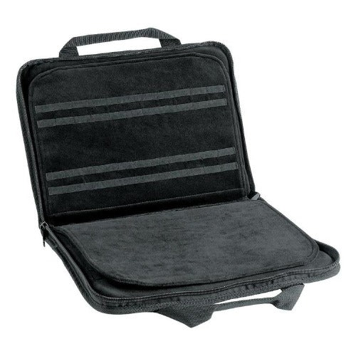 Case Large Carrying Case